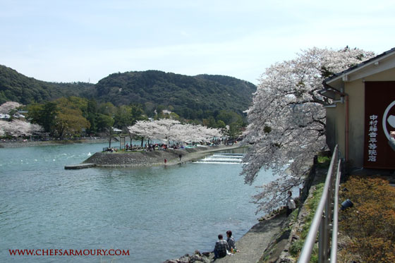 Hanami - Cherry blossom viewing - Uji, Kyoto, Japan